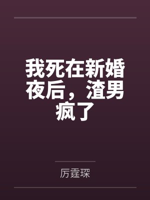 苏菀陆时晏
