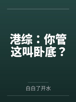 港综:你管这叫卧底?