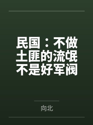 民国:不做土匪的流氓不是好军阀