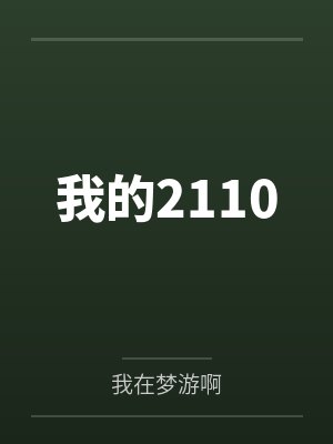 我的2110