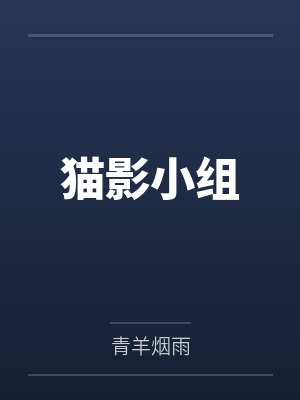 猫影小组